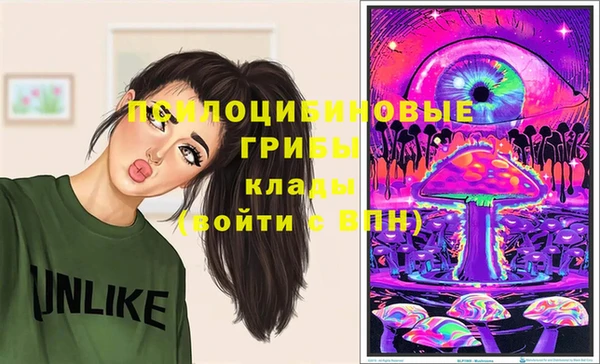 молекула духа Алексеевка