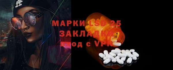 стаф Алексин