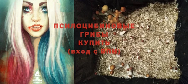 молекула духа Алексеевка