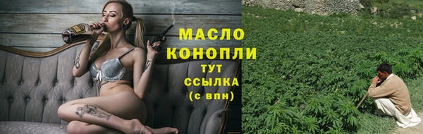 молекула духа Алексеевка